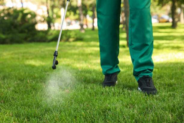 Best Pest Control Near Me  in Henderson, LA