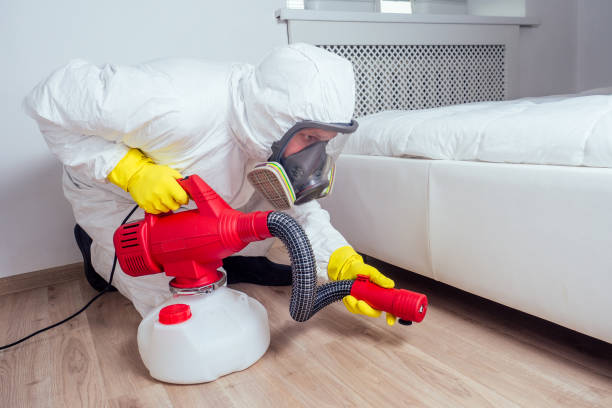 Best Spider Control Near Me  in Henderson, LA