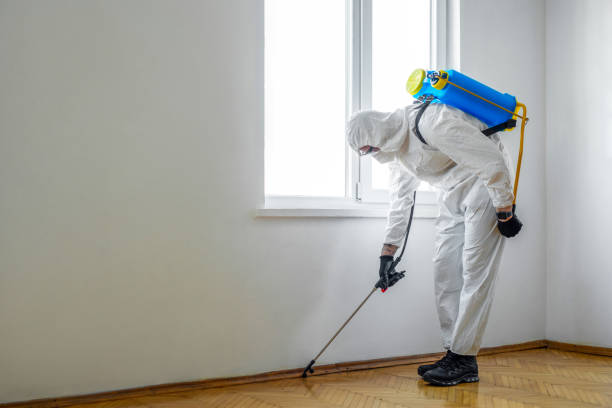 Best Bed Bug Extermination  in Henderson, LA