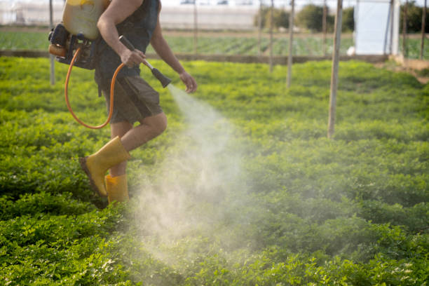 Best Best Pest Control Near Me  in Henderson, LA