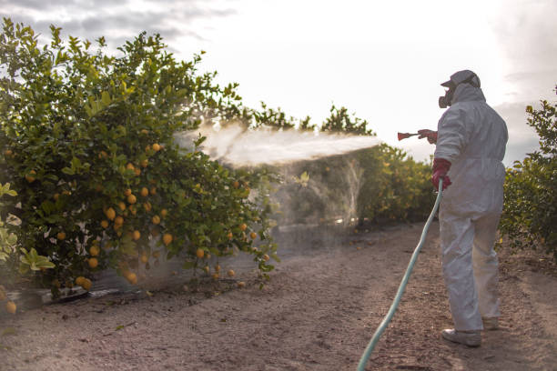Best Pest Removal Services  in Henderson, LA